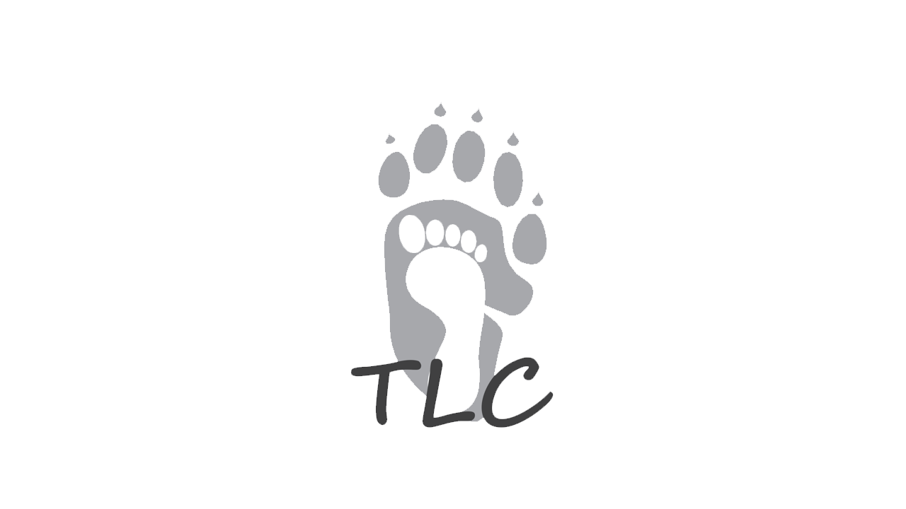 The Limberlost Challenge Logo, showing a gray bear foot with a white human foot inside, with the 
          initials 'T, L, C' on the bottom.